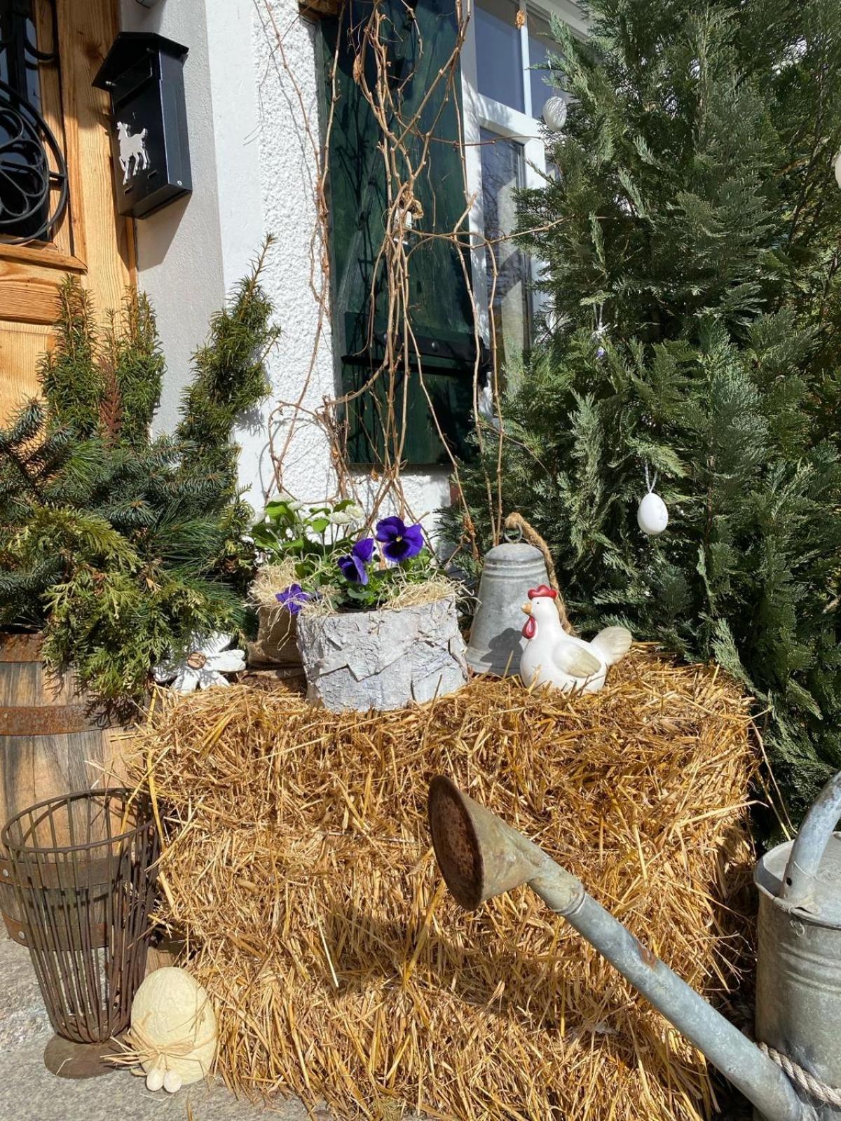 Apartamenty Sudeckie Nad Zalewem IV Sosnówka Buitenkant foto